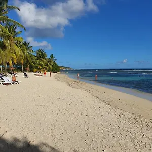 Cannelle Sainte-Anne (Grande-Terre)